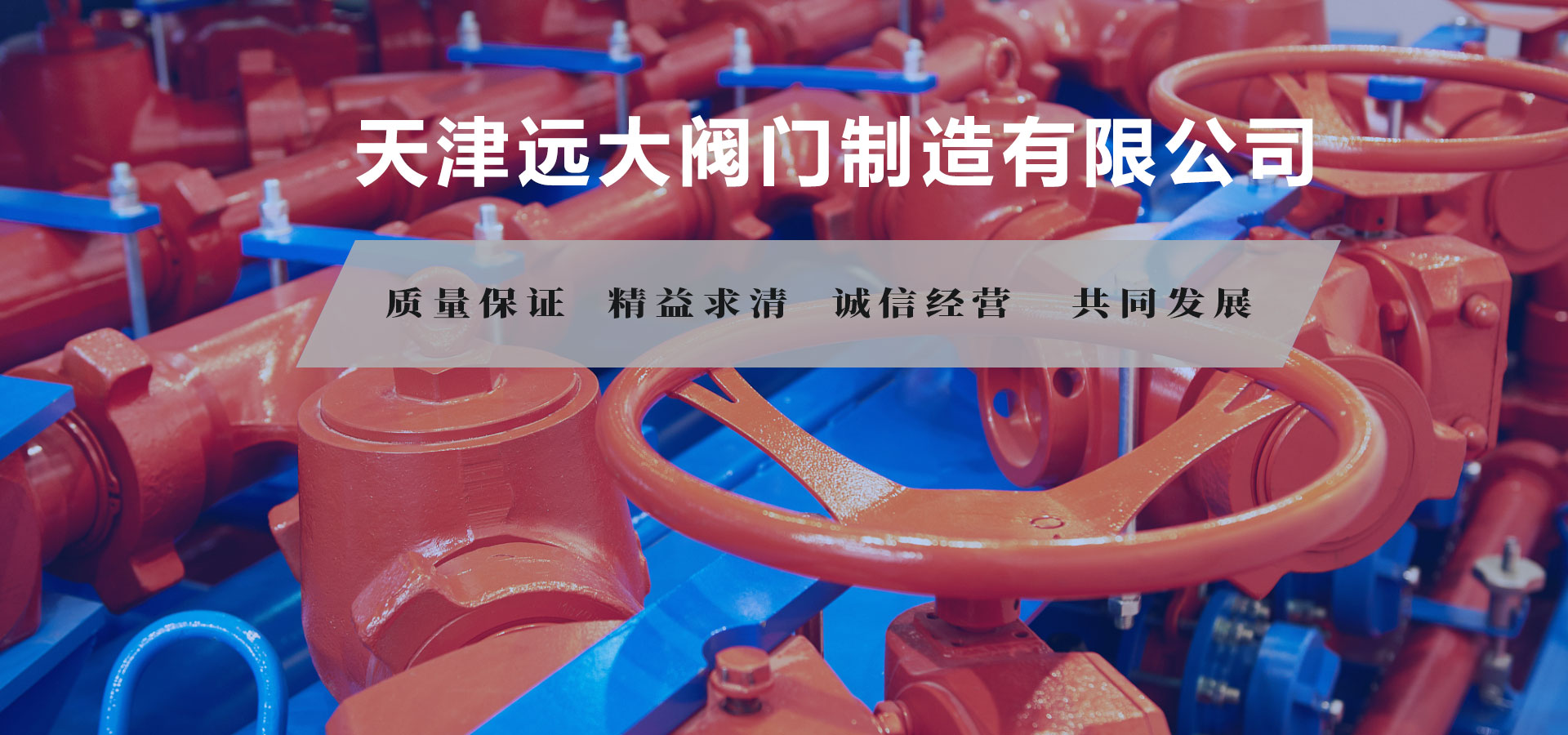 提供一站式解决方案，联系电话：13821527866 